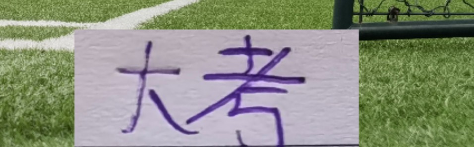 开云体育官网官方网站-大考！年底很多申花球员合同到期 马纳法+特谢拉还能续约吗