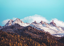 开云：云端生活的新纪元